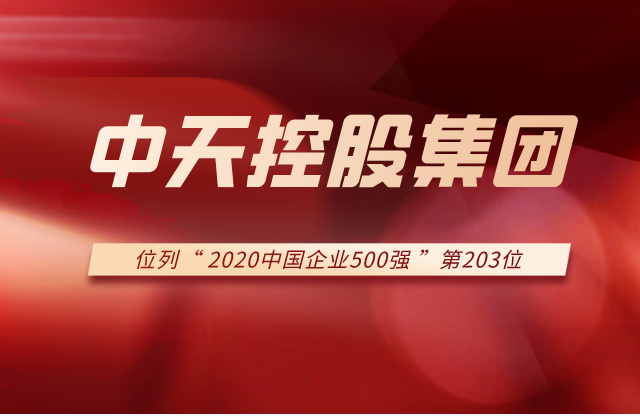东升国际集团列2020中国企业500强第203位！